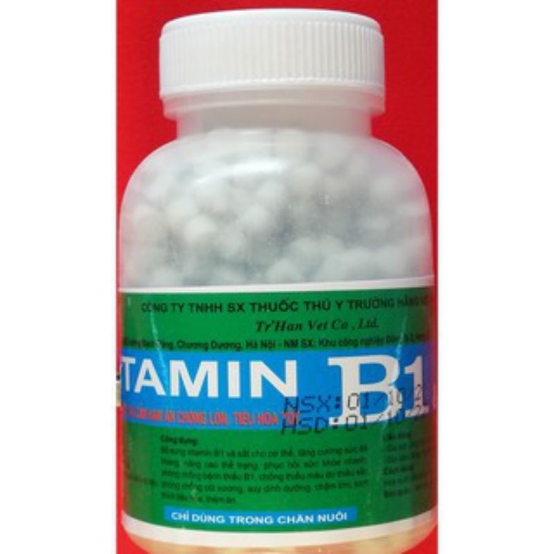 Vitamin B1 Fe 1200v