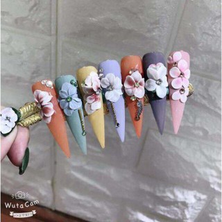 Set 10 vĩ móng mẫu nhọn