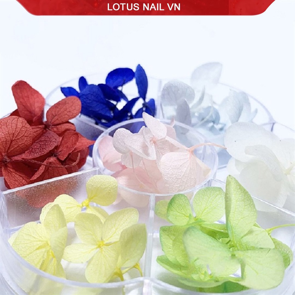 Hoa khô nail, hoa khô lụa tú cầu trang trí móng khay 7 màu