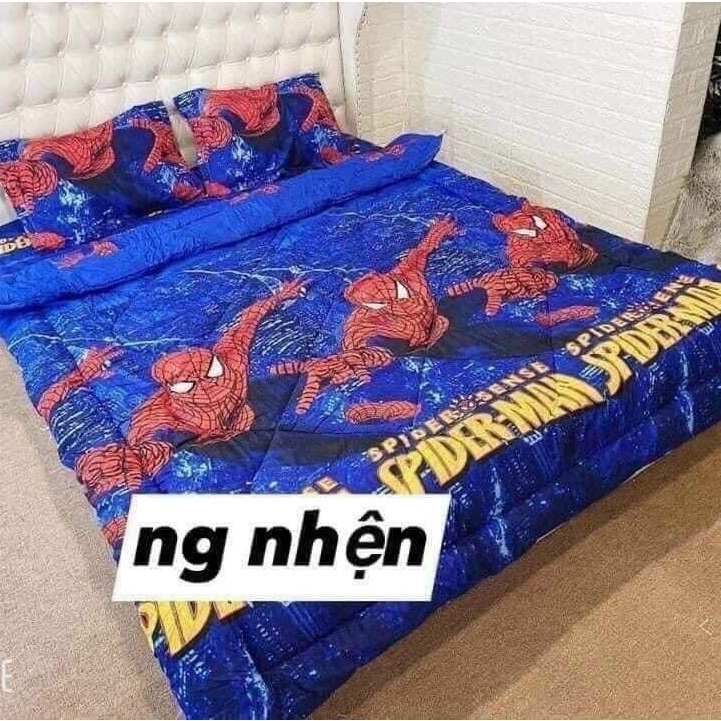 Chăn Phao Poly Cotton  Dày Siêu Ấm, Nhiều Mẫu