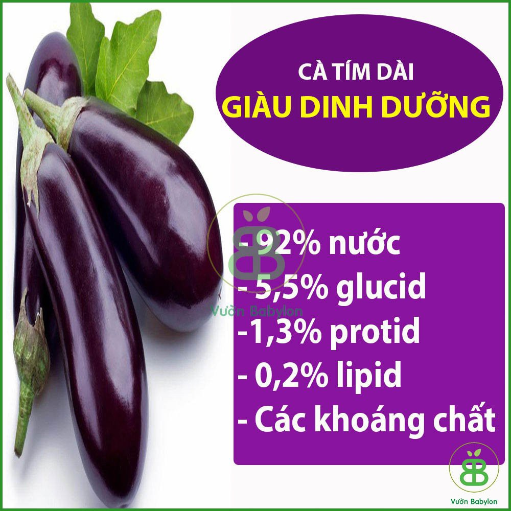 Hạt Giống Cà Tím Dài Cao Sản 0,2Gr Siêu Trái