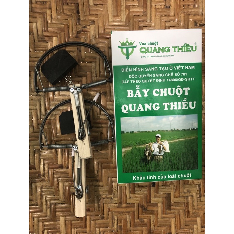 Bẫy Chuột và côn trùng