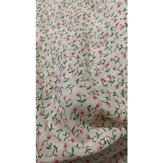 Đũi xước hoa nhí