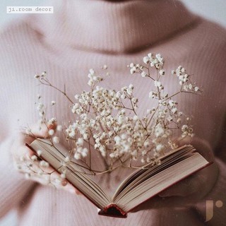 Hoa baby - loại cứng - hoa khô trang trí