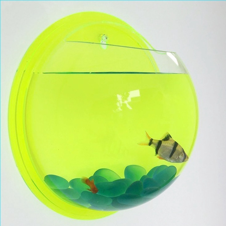 Bể Cá Treo Tường Bằng Acrylic Kiểu Dáng Mới Dùng Trang Trí Nhà Cửa