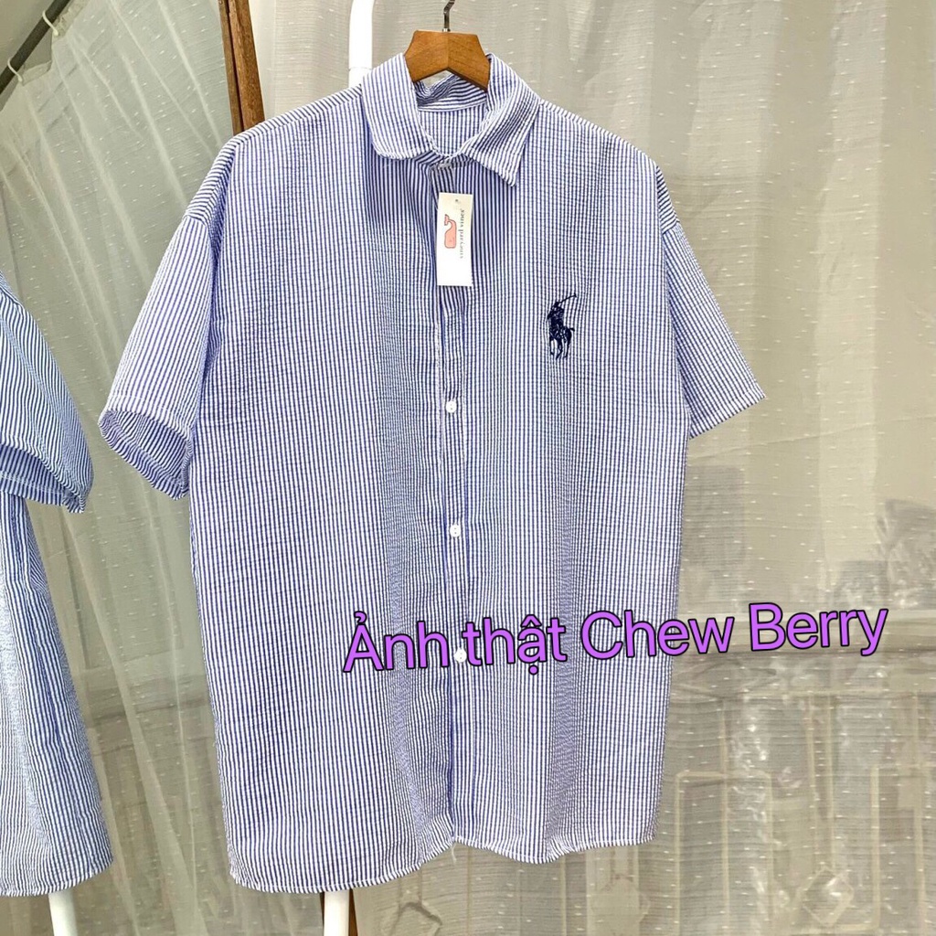 Áo Sơ Mi Kẻ Thêu Ngựa Bên Ngực Chất Đũi Xốp Phong Cách Hàn Quốc