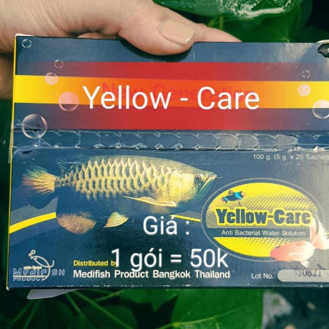 Yelow care