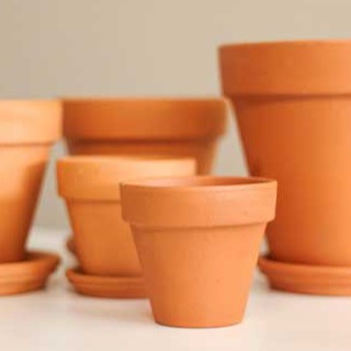Combo 5 chậu đất nung 7x7cm