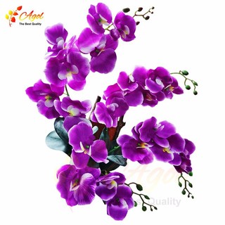 Vỉ lan treo tường tím bằng vải