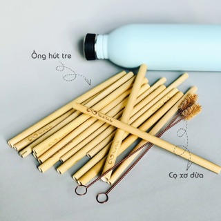 Ống hút tre