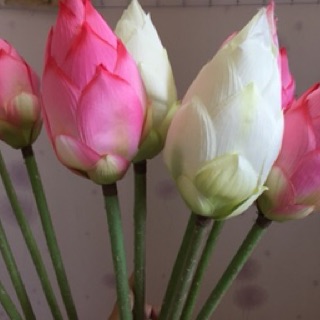 Hoa sen lụa siêu cao cấp(Ảnh thật)