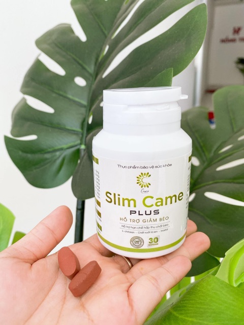 VIÊN TINH HOA TRÀ CAME JABONICA(100%HÀNG CÔNG TY)Rẽ nhất shopee | BigBuy360 - bigbuy360.vn