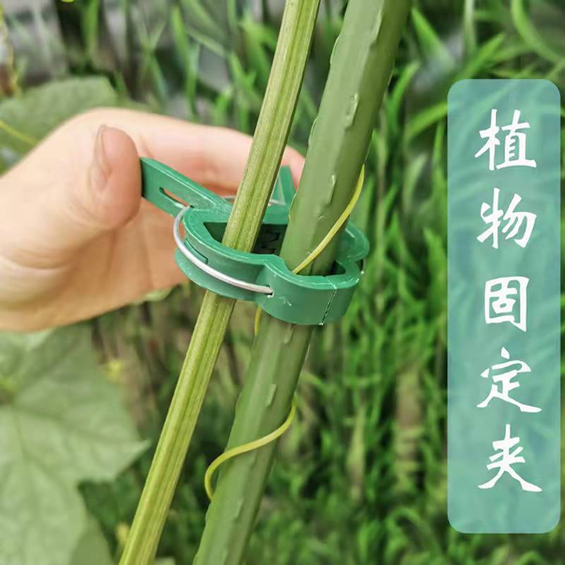 Kẹp Hỗ Trợ Cành Cây Leo Tiện Dụng Cho Sân Vườn