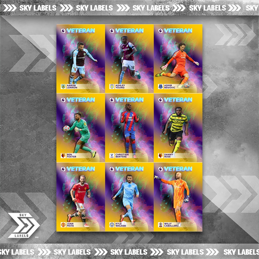 thẻ SKY Veteran - Juan Mata, Begovic, Foster, Rose, Lennon, Walker, Young, Benteke, Caballero - Manchester United, City