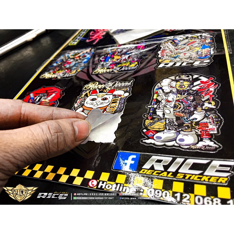 Tem Dán combo Sticker RiceRacing