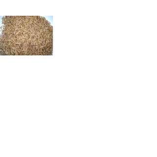 Sâu gạo cho hamster