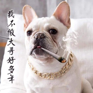 Vòng cổ vàng siêu chất cho Boss