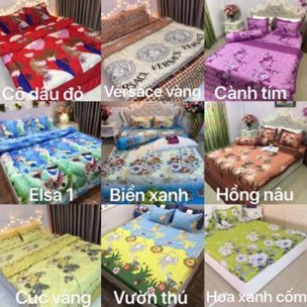 Chăn hè ga gối 1m6 cotton poly set 4 món mvdv hoa đào