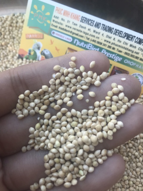 Hạt kê trắng xuất xứ Mỹ giàu dinh dưỡng gói 1kg