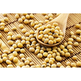 Đậu nành sấy giòn tốt cho sức khỏe - đồ ăn vặt sài gòn, thơm ngon đậm vị - vixi food