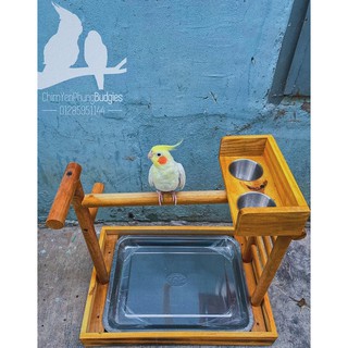 CẦU ĐỨNG GỖ CHO VẸT làm thủ công (có mâm inox) mẫu nâng cấp.