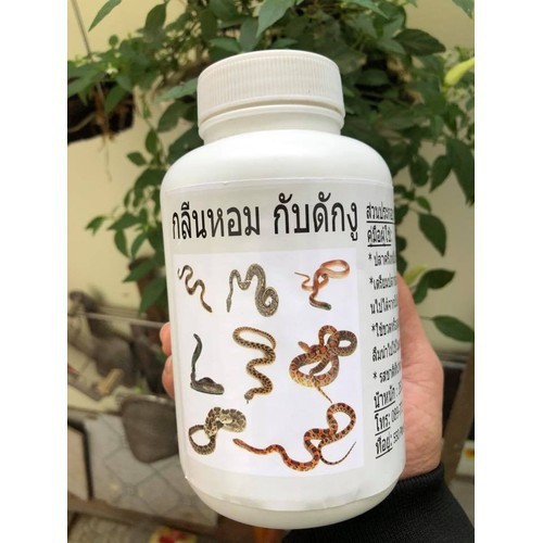 Thuốc bẫy rắn Thai Lan - Siêu nhạy - Thuốc bẫy rắn