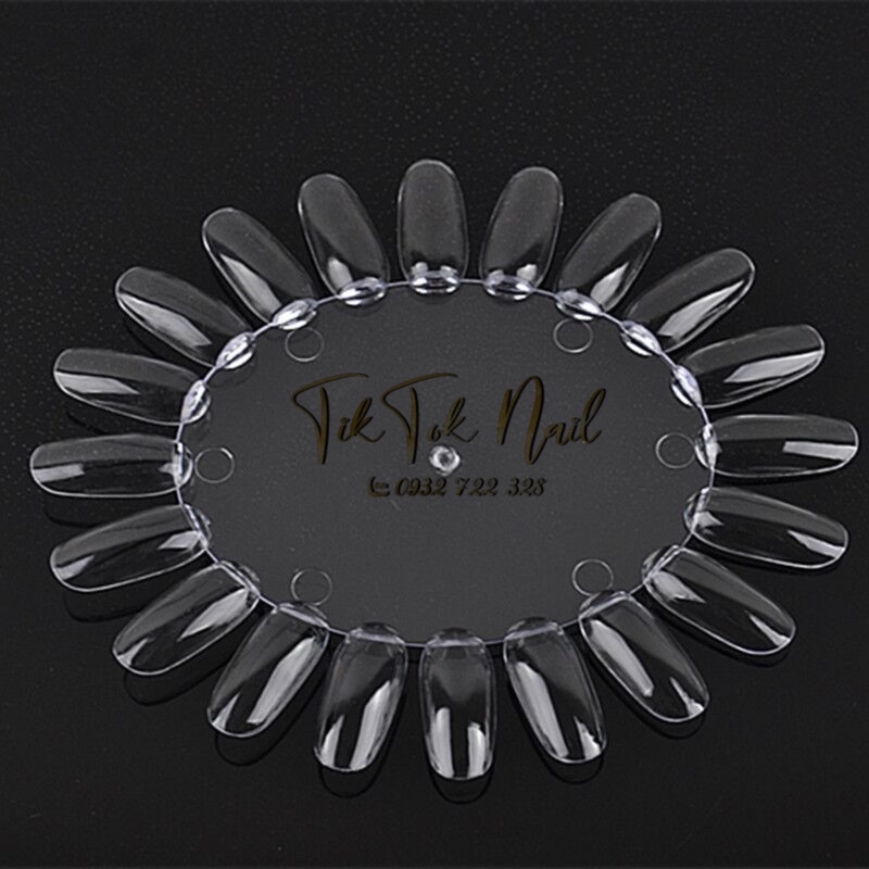 móng vỉ làm bản màu 10 vỉ vẽ chưng mẫu