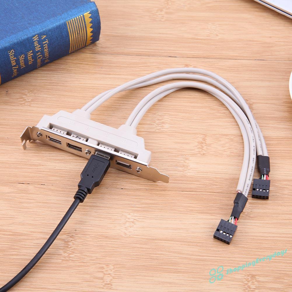 Dây Cáp Chuyển Đổi Cổng Usb 2.0 Sang Cổng Bo Mạch Chủ 9pin 4 Cổng | BigBuy360 - bigbuy360.vn
