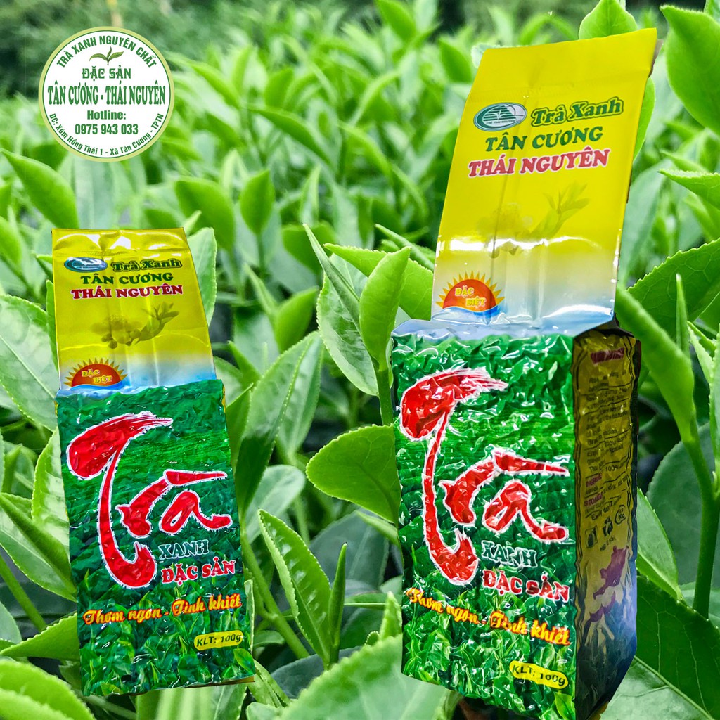 Trà Tân Cương Thái Nguyên búp nõn non NGUYÊN CHẤT Tx190 hút chân không túi xanh 100g | BigBuy360 - bigbuy360.vn
