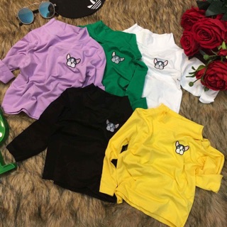Áo cotton hình thêu