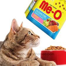 thức ăn cho mèo con Me-O Kitten 1.1kg