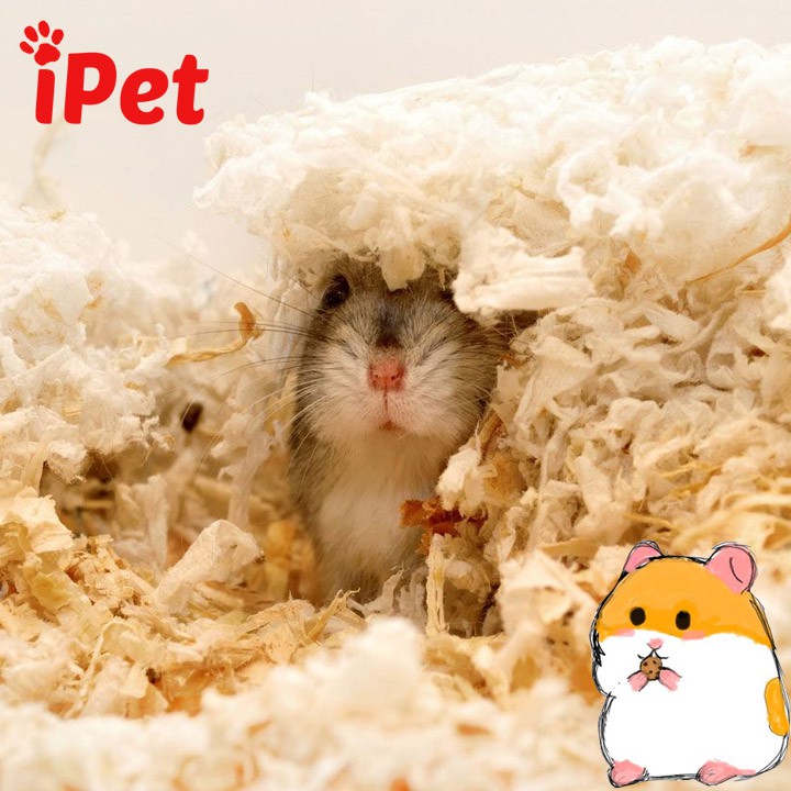 Mùn Cưa Nén Lót Chuồng - Mùn Thơm Cho Chuột Hamster, Nhím - iPet Shop