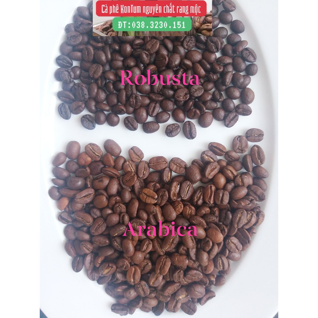 Cà phê KonTum nguyên chất rang mộc (GU ĐẬM) 500gr, Thơm ngon, đậm đà, hương vị đặc trưng (xay pha phin)