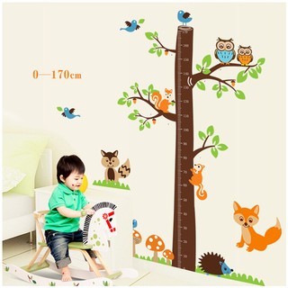 Decal dán tường Đo chiều cao cú mèo