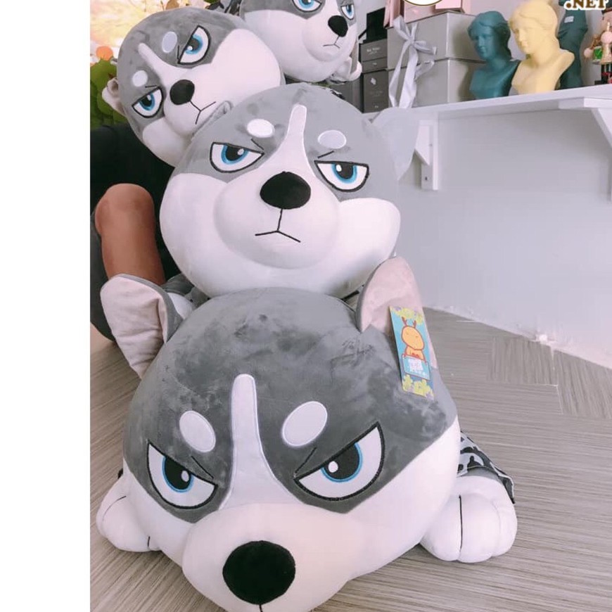 Gấu bông Chó husky, chó ngáo size 1M5 Gấu bông Chó mặc áo Siêu To Khổng Lồ - gối ôm chó Alaska vải nhung Hàn Quốc