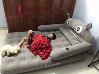 [giá siêu rẻ] giường hơi cute