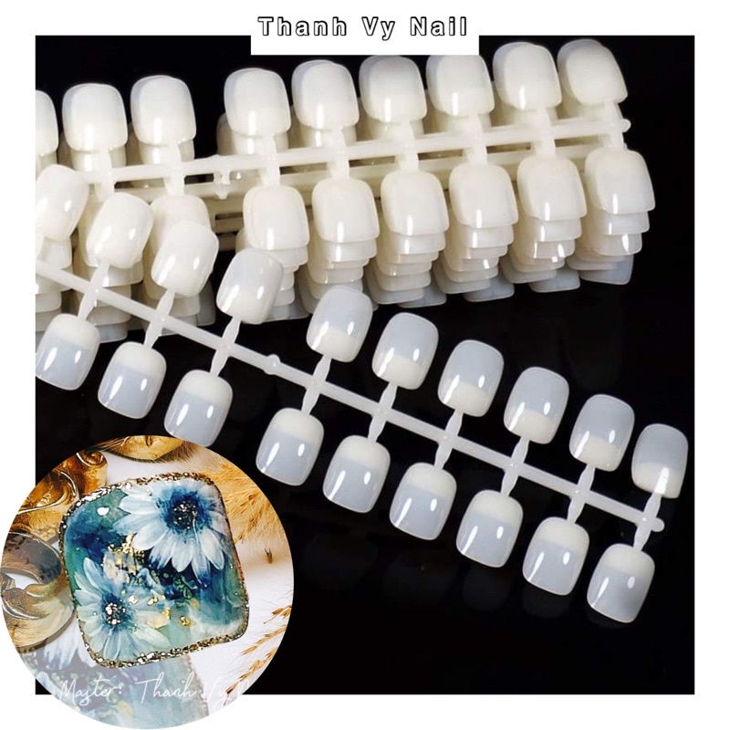Móng tập vẽ phom vuông( vỉ 240 móng)