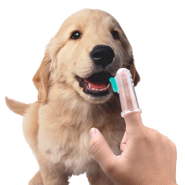 [ FREESHIP ĐƠN 50K ] Bàn chải đánh răng silicone cho chó mèo hình ngón tay cao cấp