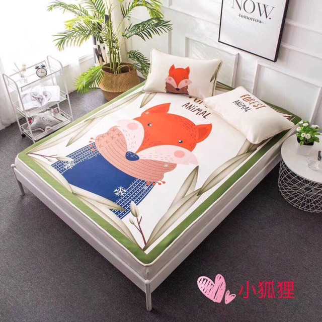 Set chiếu cotton lụa có M6 và M8