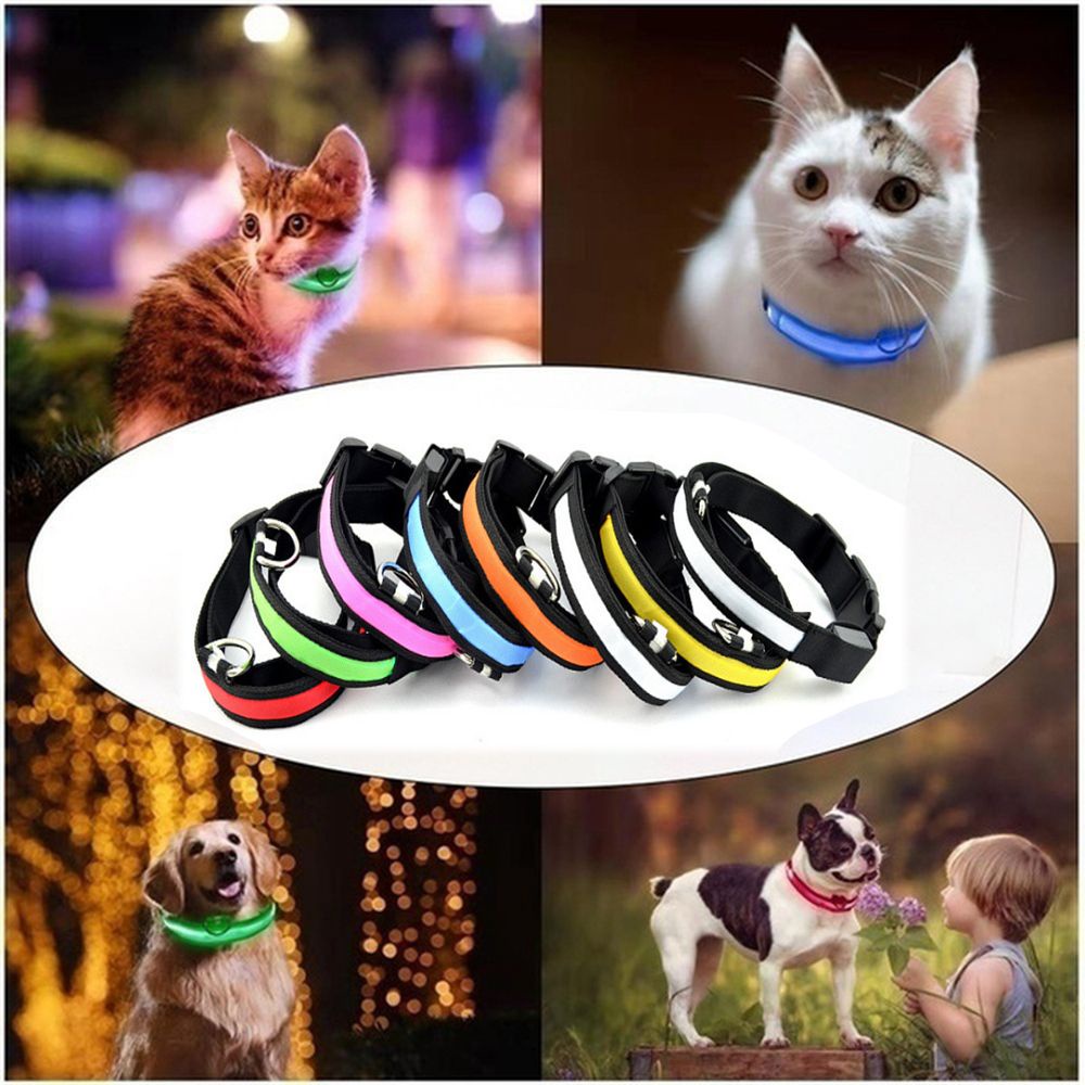 Dây đeo cổ có đèn LED phát sáng điều chỉnh chống nước cho chó mèo cưng