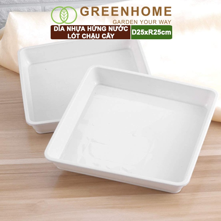 Dĩa nhựa lót chậu cây Greenhome, R25cm, nhựa nguyên sinh, bền, đẹp, nhiều hình dạng lựa chọn