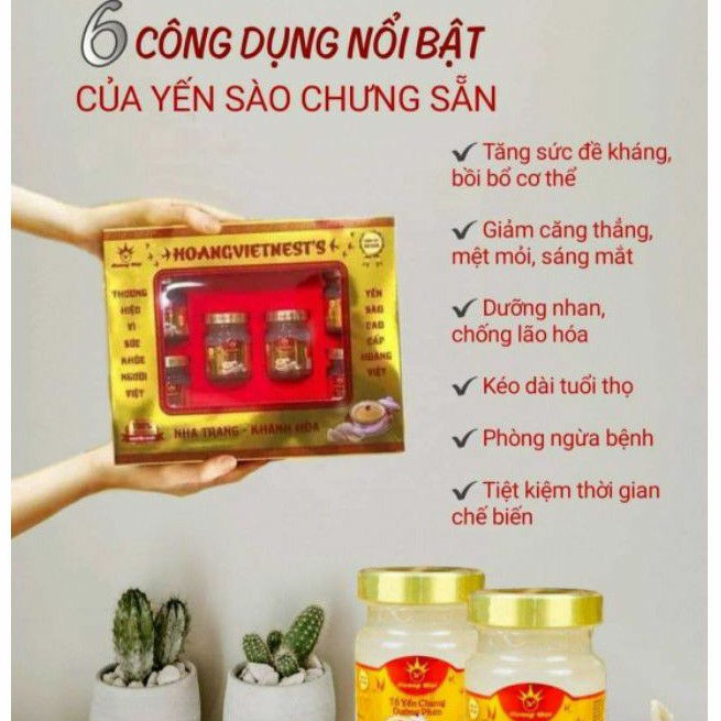[30% yến tươi thiên nhiên] Yến sào Hoàng Việt chưng đường phèn | BigBuy360 - bigbuy360.vn