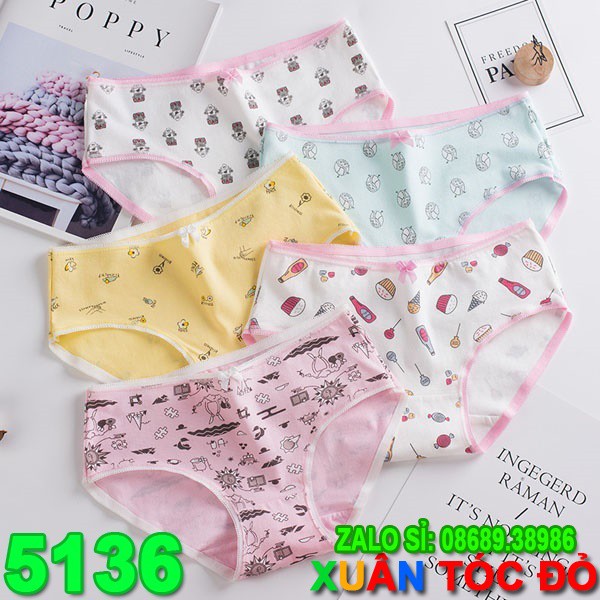 SỈ ZALO RẺ HƠN NHIỀU_ Quần Lót 5 Kiểu Siêu Kute Mới 5136