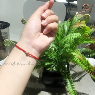 Dây chỉ đỏ may mắn