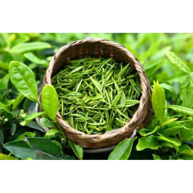 10Gram Trà Đinh Ngọc Tân Cương Thái Nguyên 1 đọt trên cùng của búp trà xanh hàng siêu chất lượng loại 1