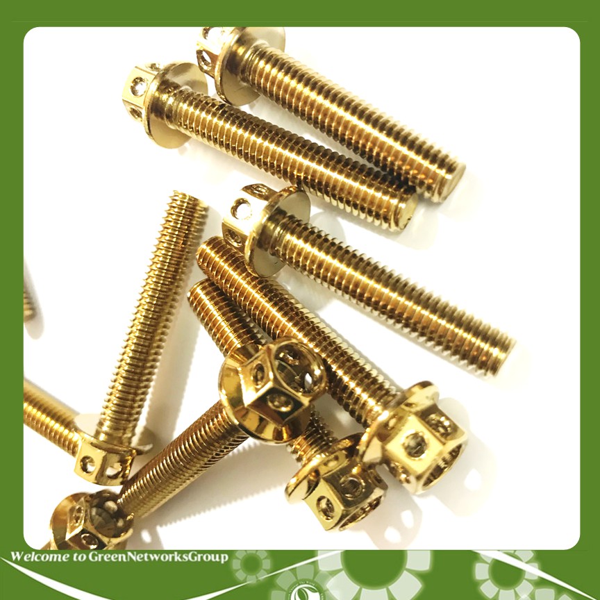 Bộ ốc vương miệng dành cho lốc máy xe Exciter 150