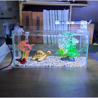 Bể cá 33 cm với 7 món (bể 33cm, sỏi nền, máy lọc, cây nhựa vừa, cây nhựa mini, pk nhỏ, đèn led)