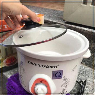Nồi kho cá, hầm cháo, ninh xương cho gia đình cắm điện tiện dụng, ruột nồi bằng sứ giữ nhiệt tốt, an toàn cho sức khỏe