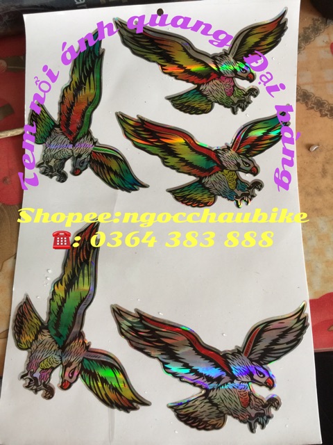 Tem nổi ánh quang chim đại bàng