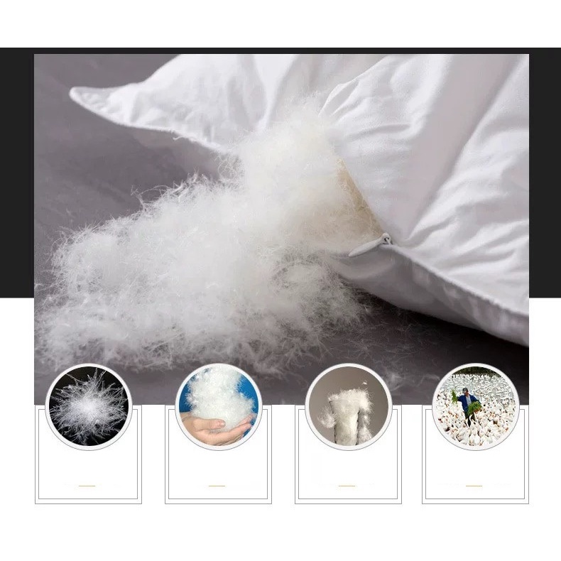 Ruột chăn lông vũ 95% từ sợi lông vũ tự nhiên 200*230cm hàng nhập